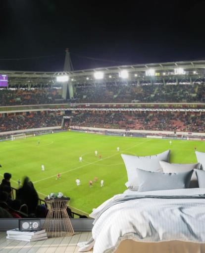 Panorama del estadio de fútbol Papel pintado de fútbol