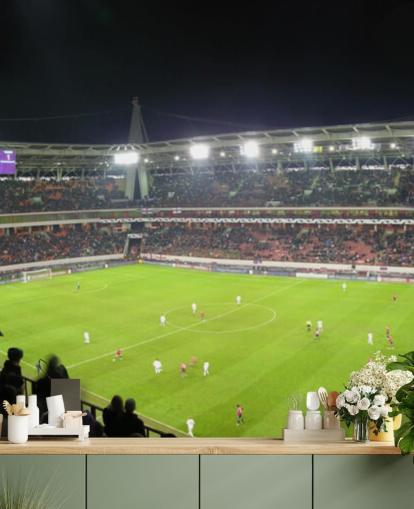 Panorama del estadio de fútbol Papel pintado de fútbol