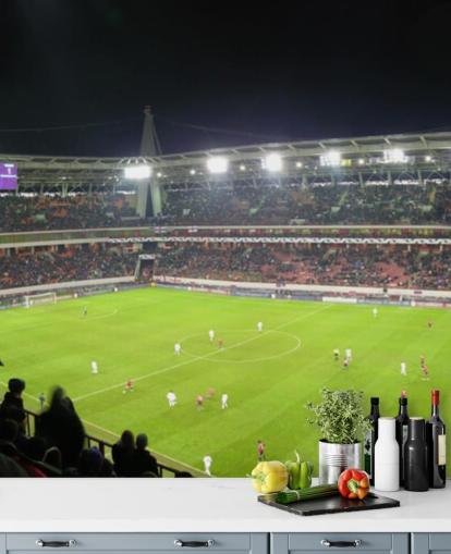 Panorama del estadio de fútbol Papel pintado de fútbol