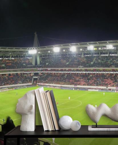 Panorama del estadio de fútbol Papel pintado de fútbol