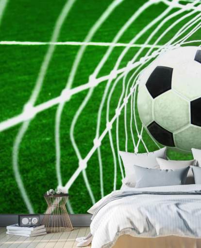 Football in the Net Wallpaper Mural