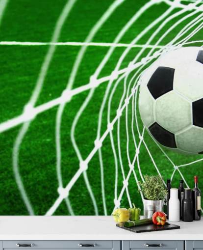 Football in the Net Wallpaper Mural Football in the Net Wallpaper Mural