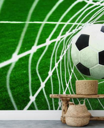 Football in the Net Wallpaper Mural