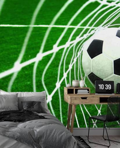Football in the Net Wallpaper Mural Football in the Net Wallpaper Mural