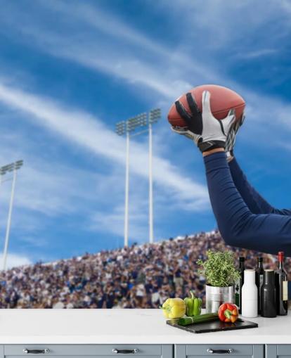 NFL spiller fange bolden med crowd kulisse tapet NFL spiller fange bolden med crowd kulisse tapet
