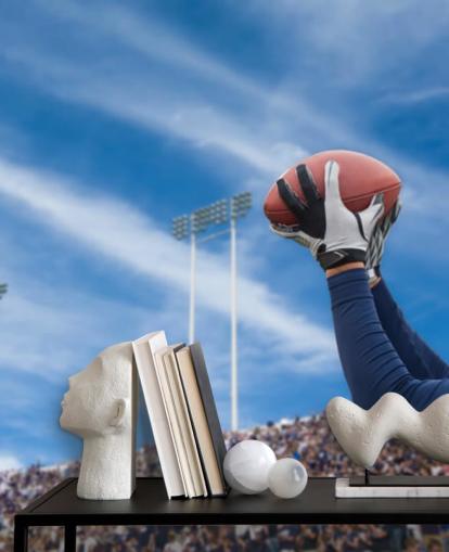 NFL Player Catching Ball with Crowd Backdrop Wallpaper