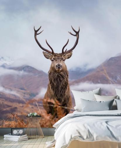 fondo de pantalla de ciervo en paisaje brumoso