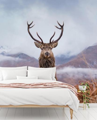 cerf dans le papier peint paysage brumeux