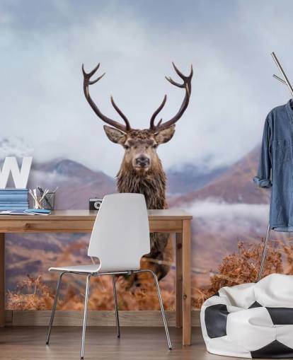 stag in misty landscape wallpaper