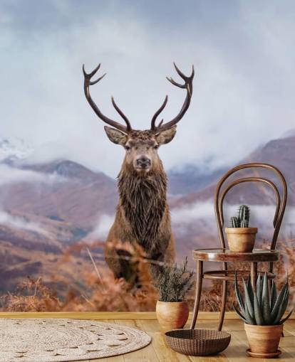 cerf dans le papier peint paysage brumeux