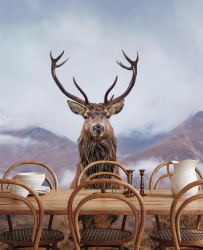 Hirsch in nebliger Landschaft Tapete