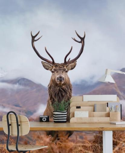 stag in misty landscape wallpaper