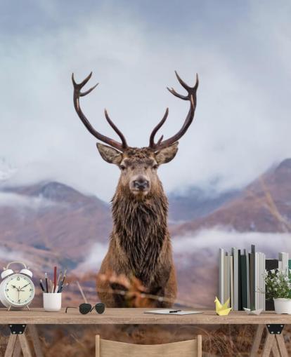 stag in misty landscape wallpaper