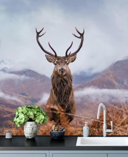 cerf dans le papier peint paysage brumeux cerf dans le papier peint paysage brumeux