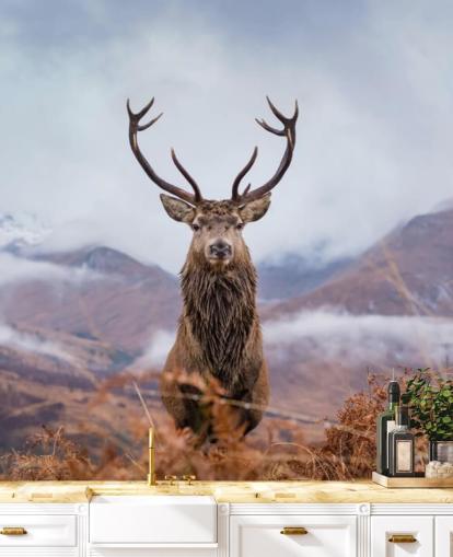 stag in misty landscape wallpaper