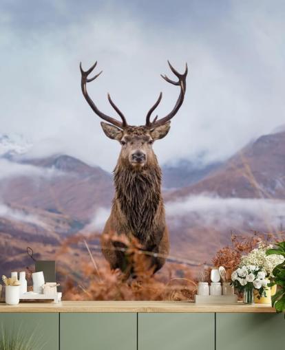 Hirsch in nebliger Landschaft Tapete