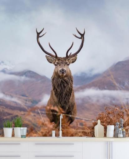 stag in misty landscape wallpaper