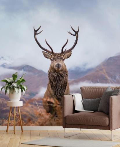 stag in misty landscape wallpaper