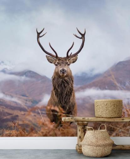 fondo de pantalla de ciervo en paisaje brumoso fondo de pantalla de ciervo en paisaje brumoso