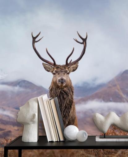 stag in misty landscape wallpaper