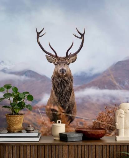 stag in misty landscape wallpaper stag in misty landscape wallpaper