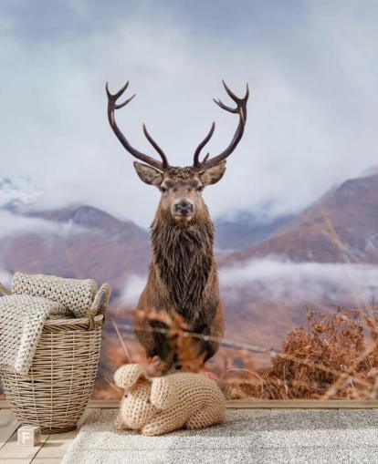 stag in misty landscape wallpaper