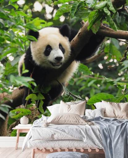 young panda climbing tree wallpaper young panda climbing tree wallpaper