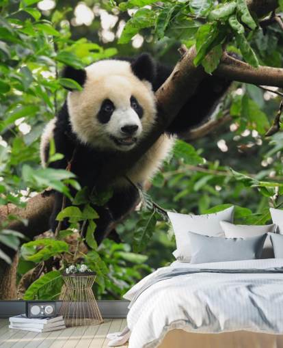 young panda climbing tree wallpaper