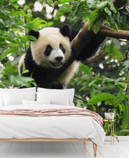 young panda climbing tree wallpaper