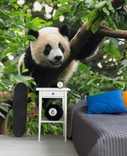 young panda climbing tree wallpaper young panda climbing tree wallpaper
