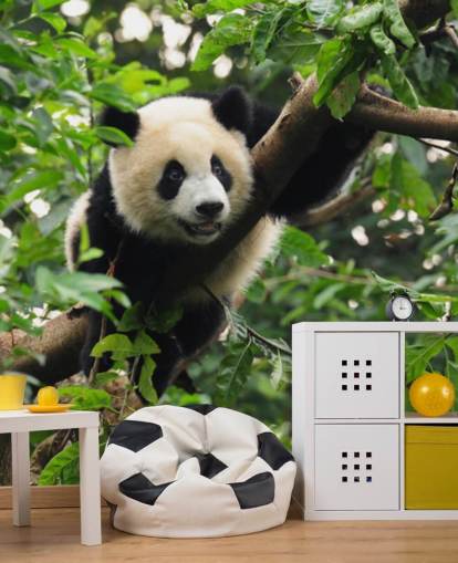 jonge panda klimboom behang