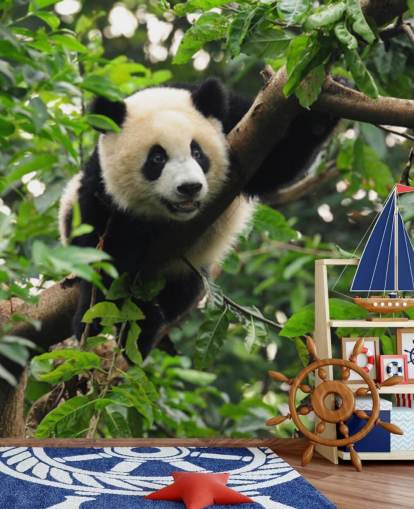 papier peint d'arbre grimpant jeune panda