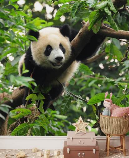 young panda climbing tree wallpaper