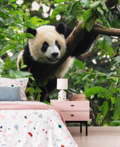 papel de parede jovem panda escalada árvore