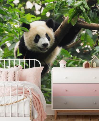 papier peint d'arbre grimpant jeune panda