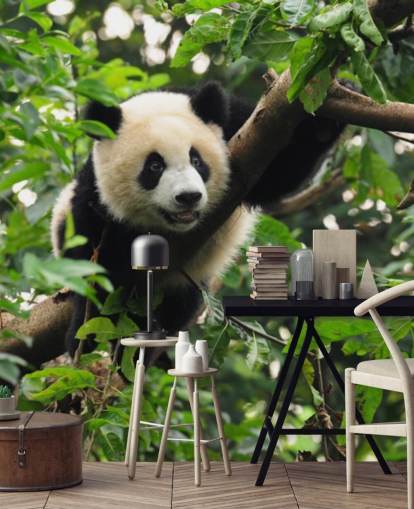 papel pintado joven panda trepando