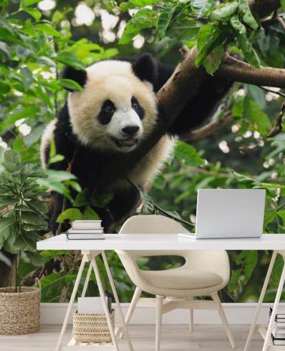 papel pintado joven panda trepando papel pintado joven panda trepando