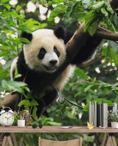 young panda climbing tree wallpaper
