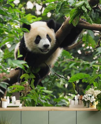 young panda climbing tree wallpaper