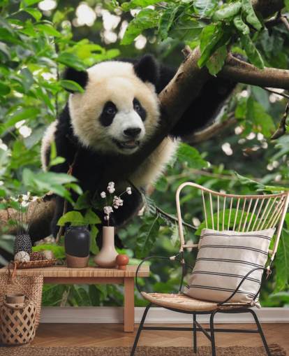 young panda climbing tree wallpaper