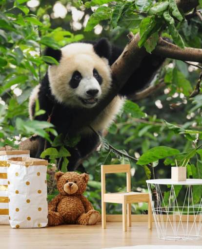 young panda climbing tree wallpaper