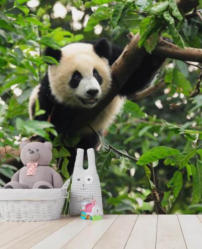 junger Panda kletternder Baum Tapete junger Panda kletternder Baum Tapete