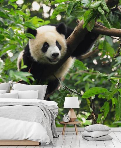 young panda climbing tree wallpaper