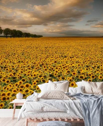 vast field of sunflowers under a cloudy sky wallpaper
