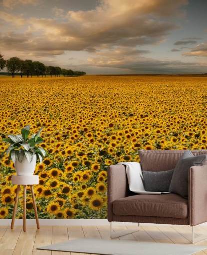 weites Feld von Sonnenblumen unter einem bewölkten Himmel Tapete