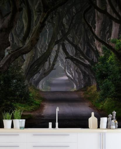 dark forest wallpaper mural called Magic Road for bedrooms, living rooms and home offices