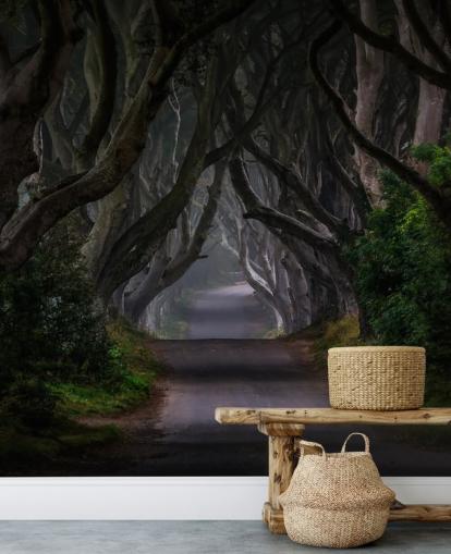 dark forest wallpaper mural called Magic Road for bedrooms, living rooms and home offices