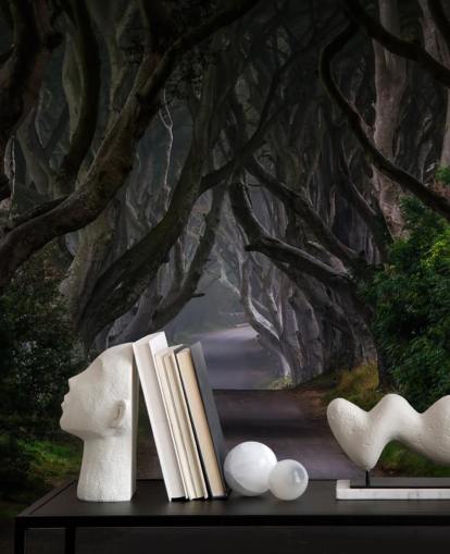 mørk skog tapet veggmaleri kalt Magic Road for soverom, stuer og hjemmekontorer
