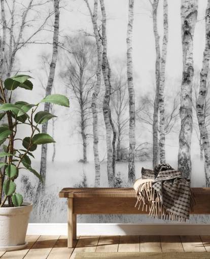 zwart-wit berkenboom schetseffect bos muurschildering