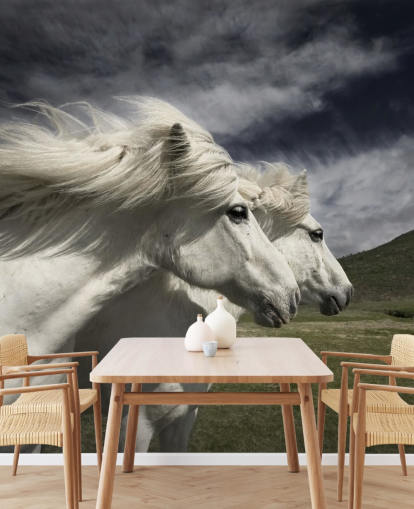 Décoration murale couple de chevaux blancs dans un champ 